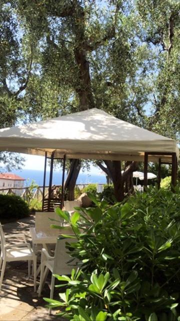 Hotel Villa Pina Antico Francischiello Massa Lubrense Eksteriør billede